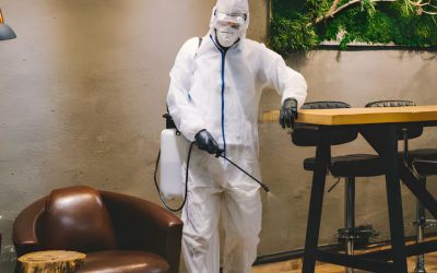 Contratto di manutenzione per locali pubblici: obblighi e normative per garantire la sicurezza alimentare