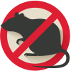 disinfestazione topi
