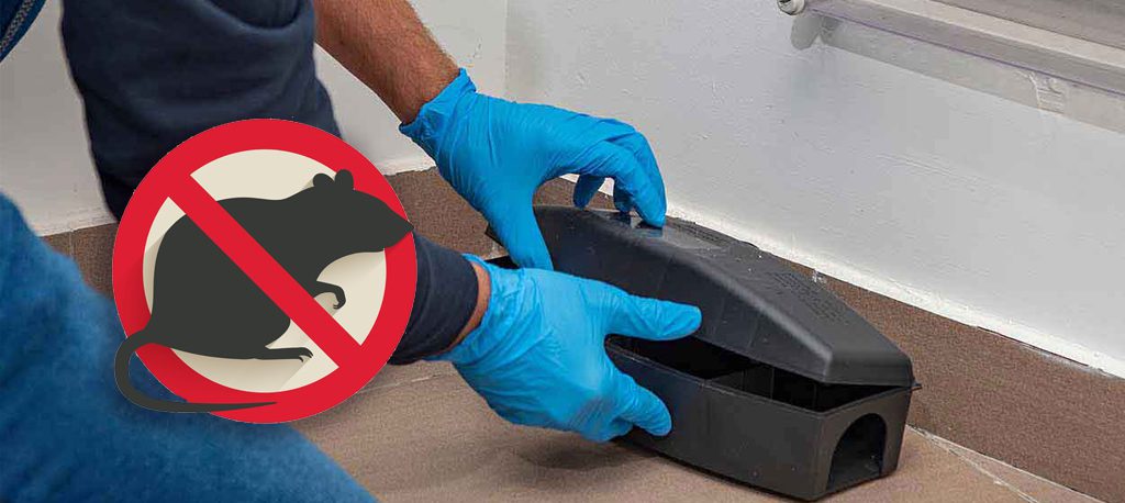 derattizzazione per eliminare i ratti in casa
